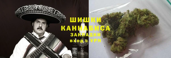 ALPHA PVP Щигры