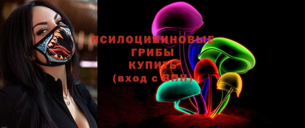 mdpv Козловка