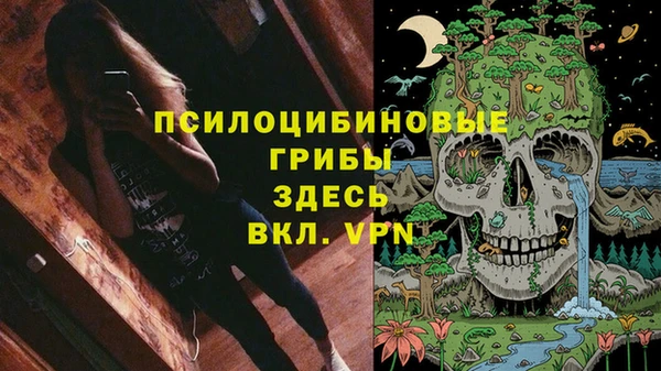 mdpv Козловка