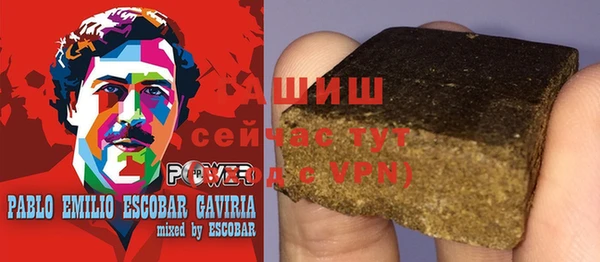 ГАЛЛЮЦИНОГЕННЫЕ ГРИБЫ Кодинск