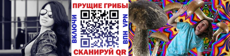 Псилоцибиновые грибы прущие грибы  даркнет какой сайт  Домодедово  хочу  