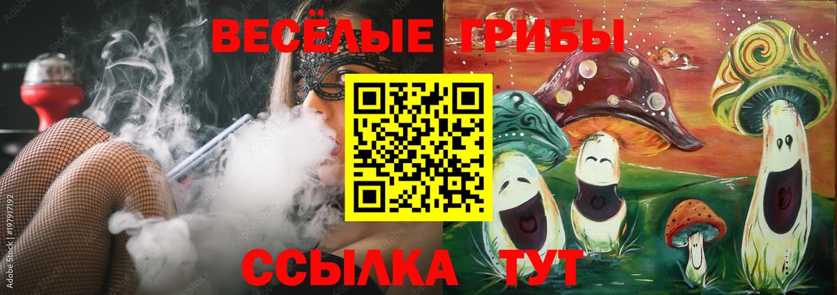 Галлюциногенные грибы мухоморы Домодедово